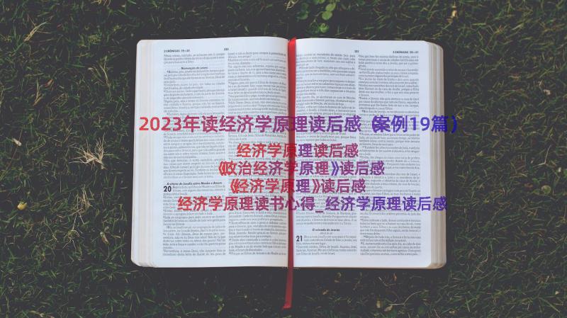 2023年读经济学原理读后感（案例19篇）