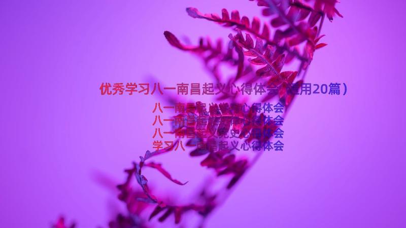 优秀学习八一南昌起义心得体会（通用20篇）