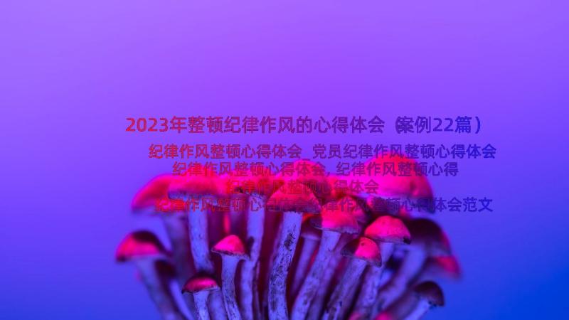 2023年整顿纪律作风的心得体会（案例22篇）