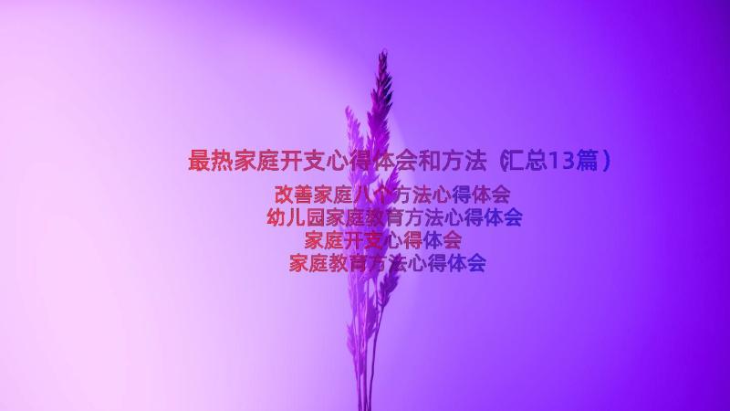 最热家庭开支心得体会和方法（汇总13篇）