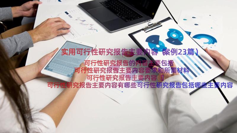 实用可行性研究报告主要内容（案例23篇）