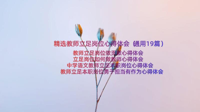 精选教师立足岗位心得体会（通用19篇）