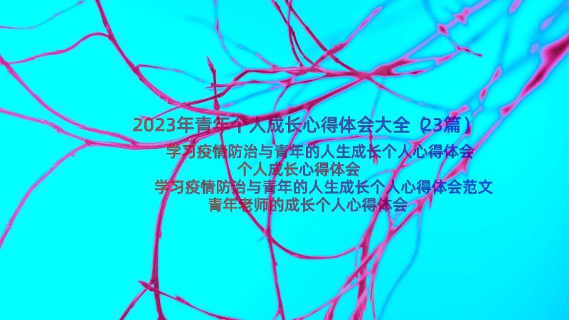 2023年青年个人成长心得体会大全（23篇）