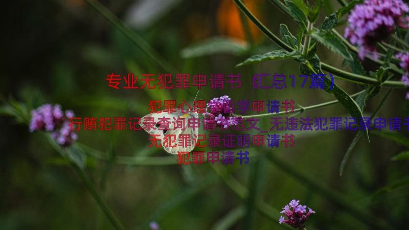 专业无犯罪申请书（汇总17篇）