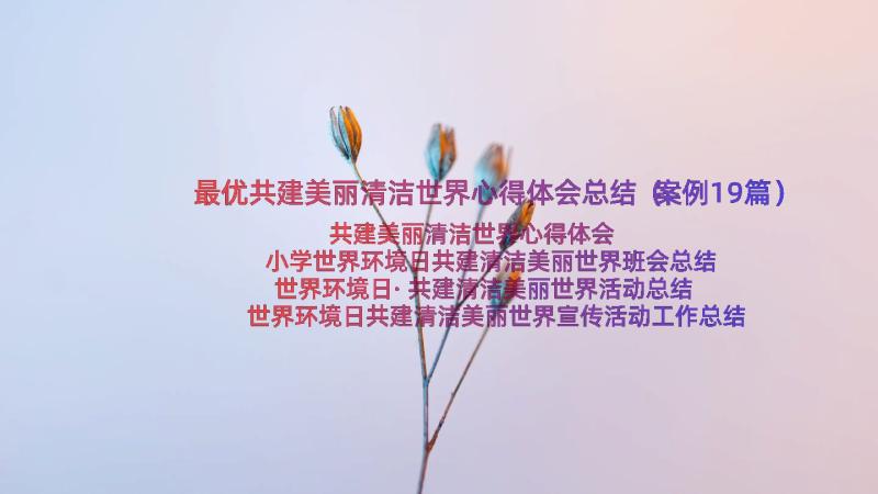 最优共建美丽清洁世界心得体会总结（案例19篇）