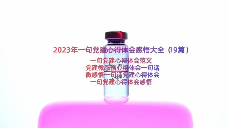 2023年一句党建心得体会感悟大全（19篇）