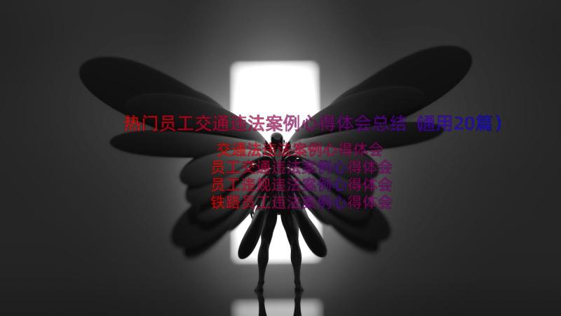 热门员工交通违法案例心得体会总结（通用20篇）