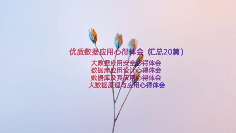 优质数据应用心得体会（汇总20篇）