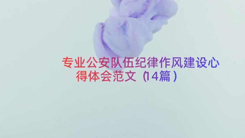 专业公安队伍纪律作风建设心得体会范文（14篇）