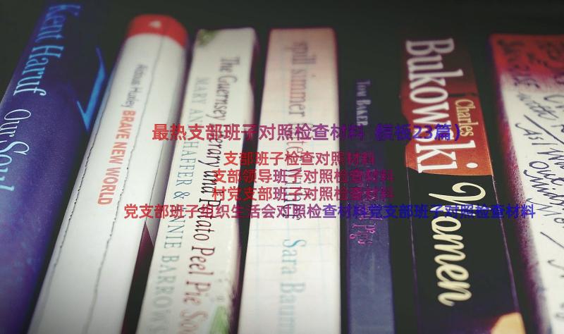 最热支部班子对照检查材料（模板23篇）