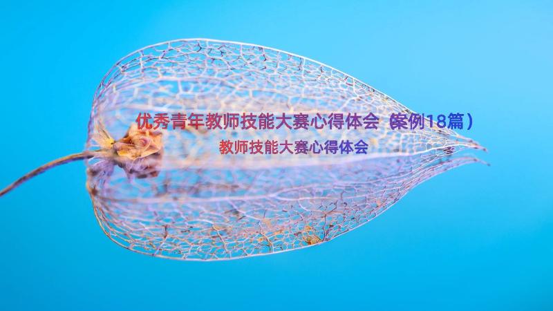 优秀青年教师技能大赛心得体会（案例18篇）