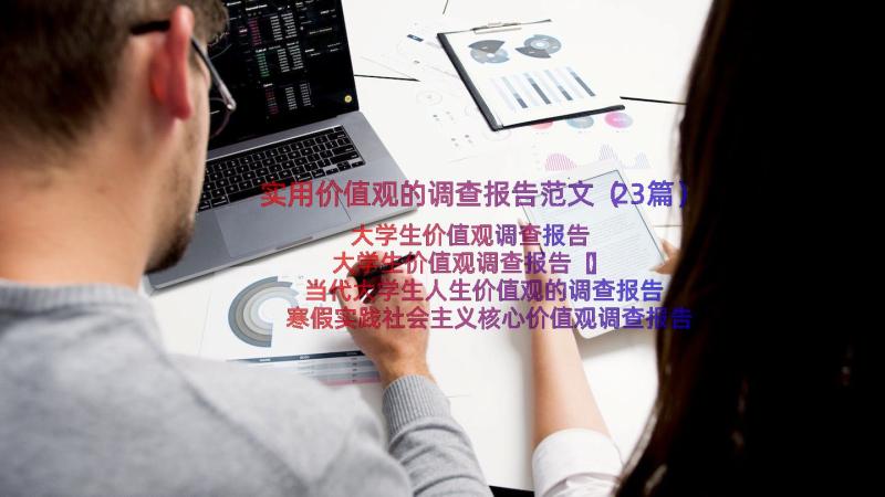 实用价值观的调查报告范文（23篇）