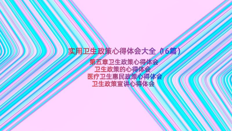 实用卫生政策心得体会大全（16篇）