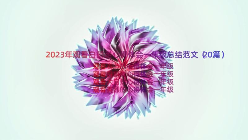 2023年观看白鹤滩心得体会一年级总结范文（20篇）