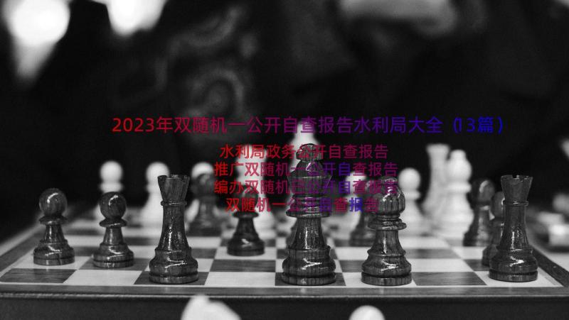 2023年双随机一公开自查报告水利局大全（13篇）