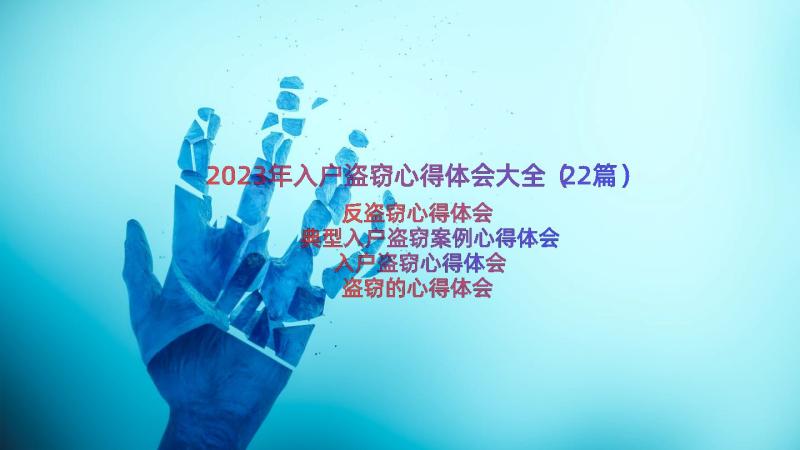 2023年入户盗窃心得体会大全（22篇）