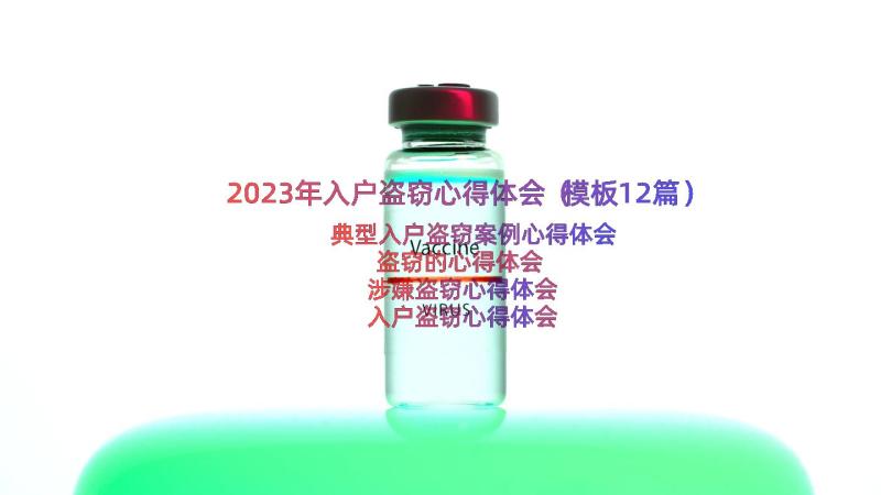 2023年入户盗窃心得体会（模板12篇）