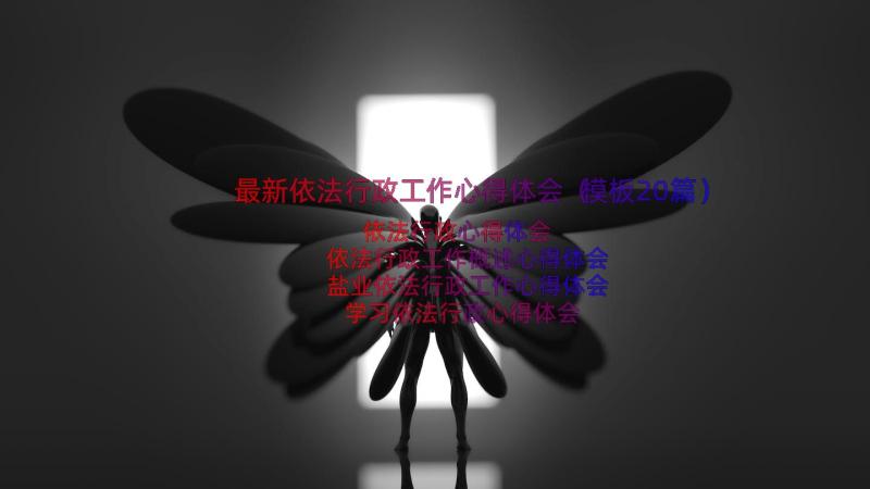 最新依法行政工作心得体会（模板20篇）