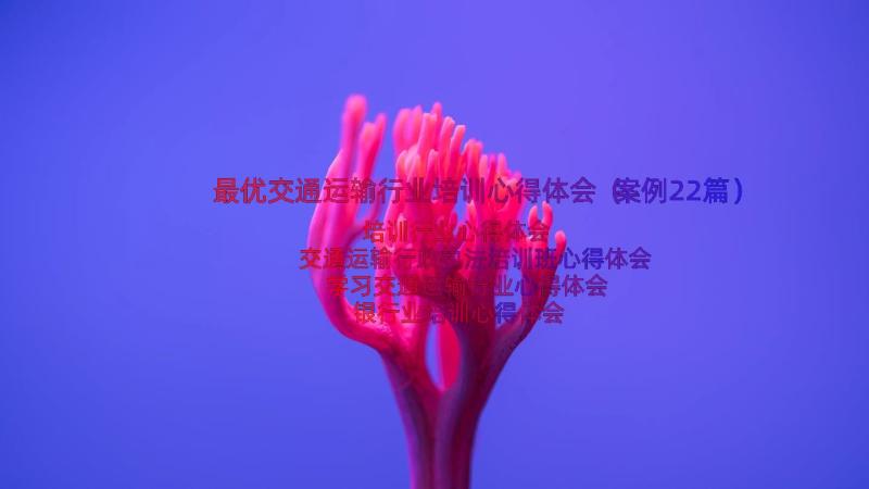 最优交通运输行业培训心得体会（案例22篇）