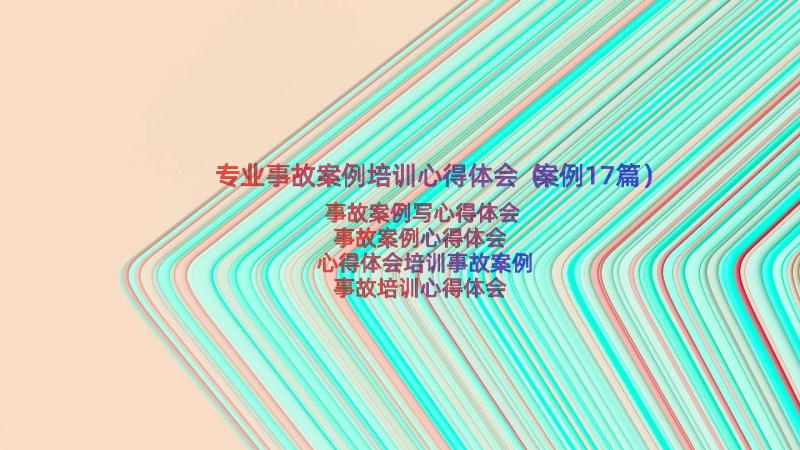 专业事故案例培训心得体会（案例17篇）