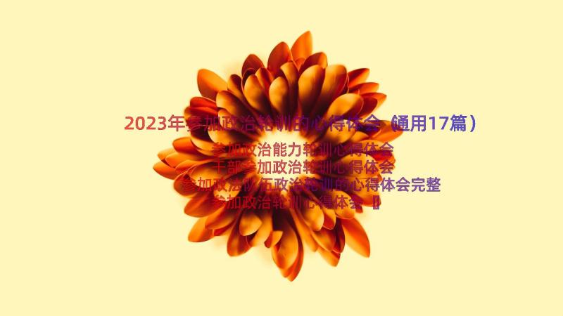 2023年参加政治轮训的心得体会（通用17篇）