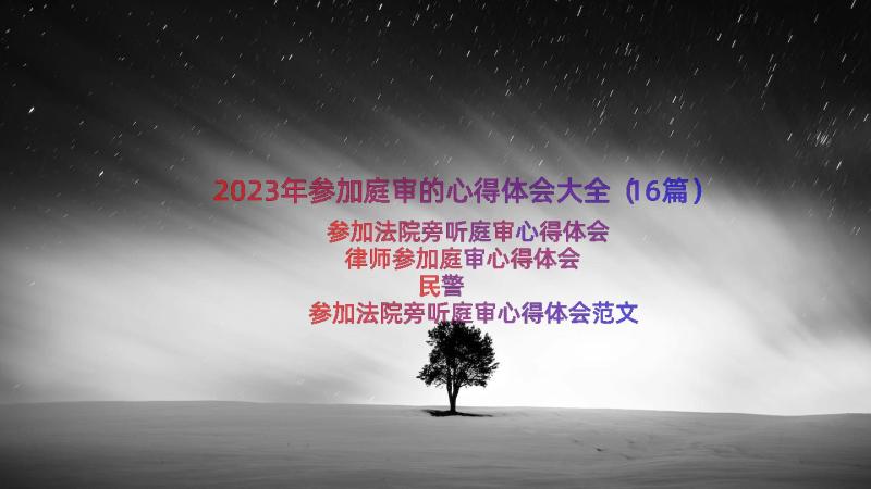 2023年参加庭审的心得体会大全（16篇）