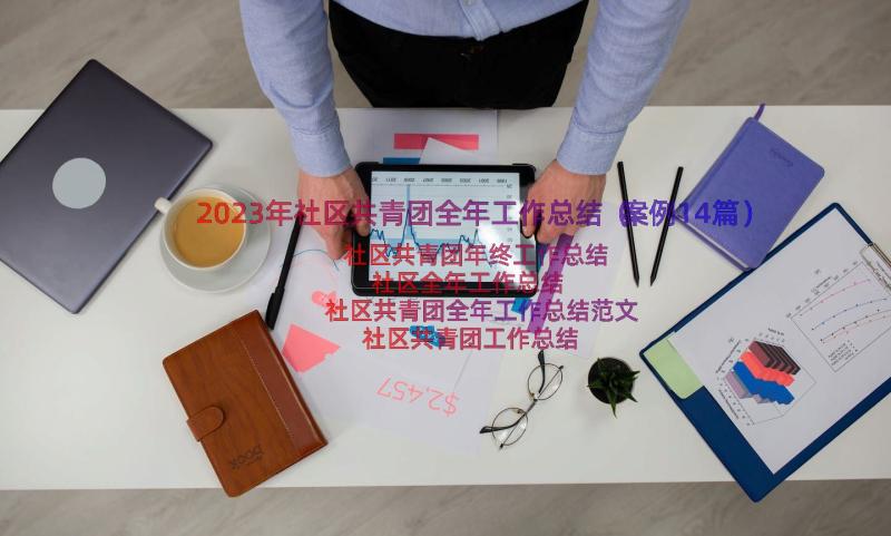 2023年社区共青团全年工作总结（案例14篇）