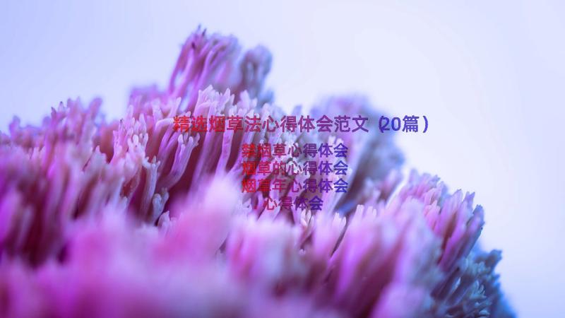 精选烟草法心得体会范文（20篇）