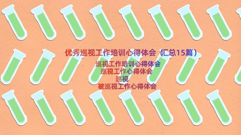 优秀巡视工作培训心得体会（汇总15篇）