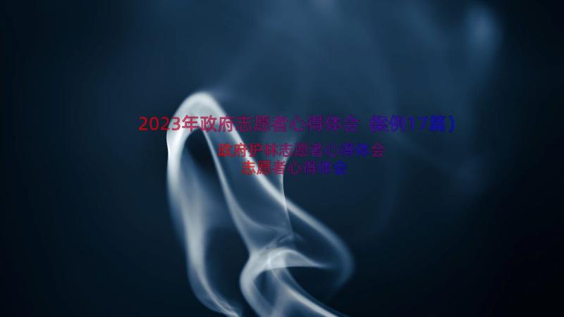 2023年政府志愿者心得体会（案例17篇）