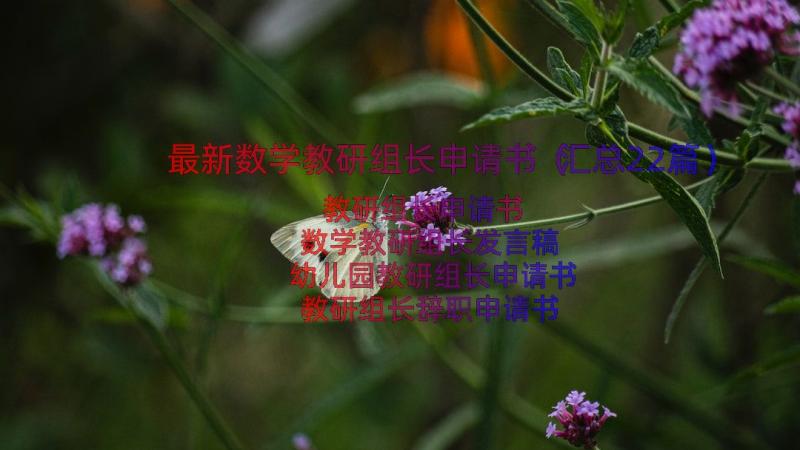 最新数学教研组长申请书（汇总22篇）