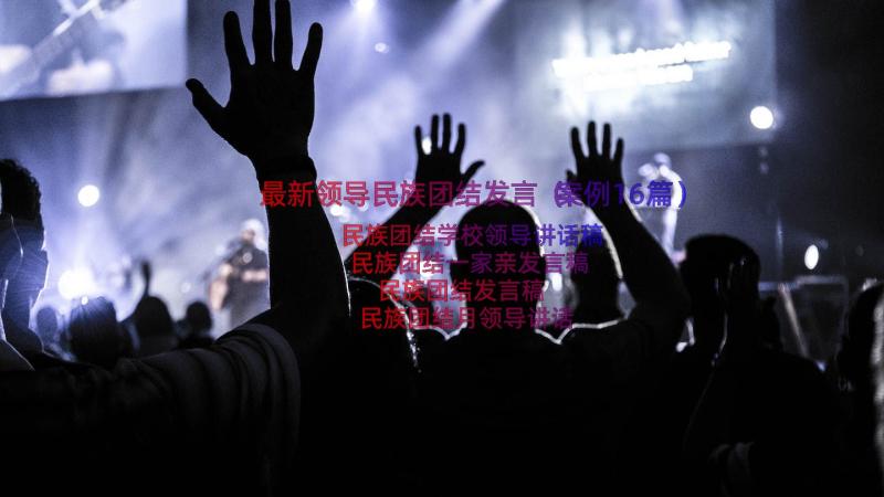 最新领导民族团结发言（案例16篇）