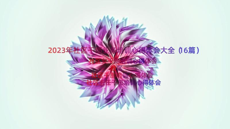 2023年社区干部业务培训心得体会大全（16篇）