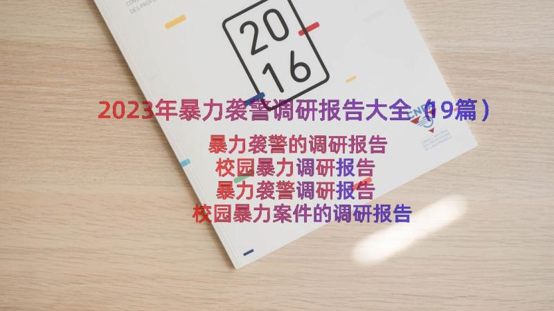 2023年暴力袭警调研报告大全（19篇）