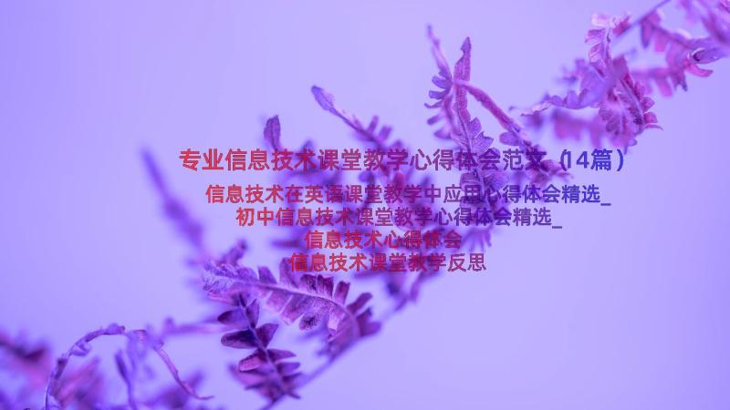 专业信息技术课堂教学心得体会范文（14篇）