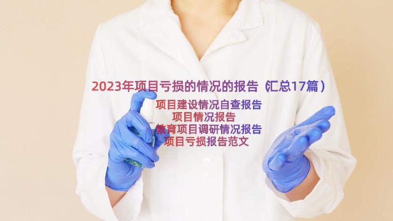 2023年项目亏损的情况的报告（汇总17篇）