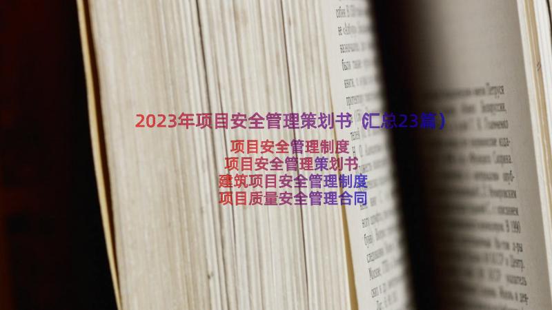 2023年项目安全管理策划书（汇总23篇）
