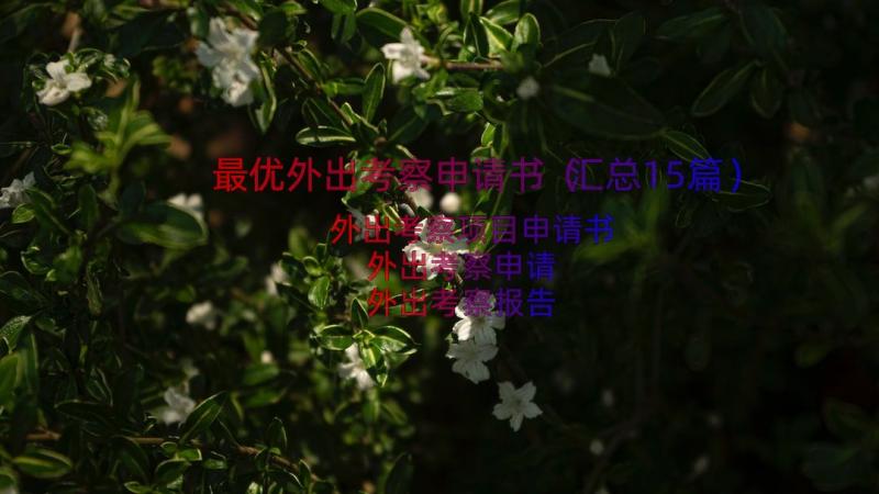 最优外出考察申请书（汇总15篇）