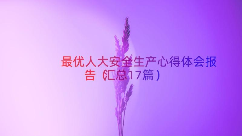 最优人大安全生产心得体会报告（汇总17篇）