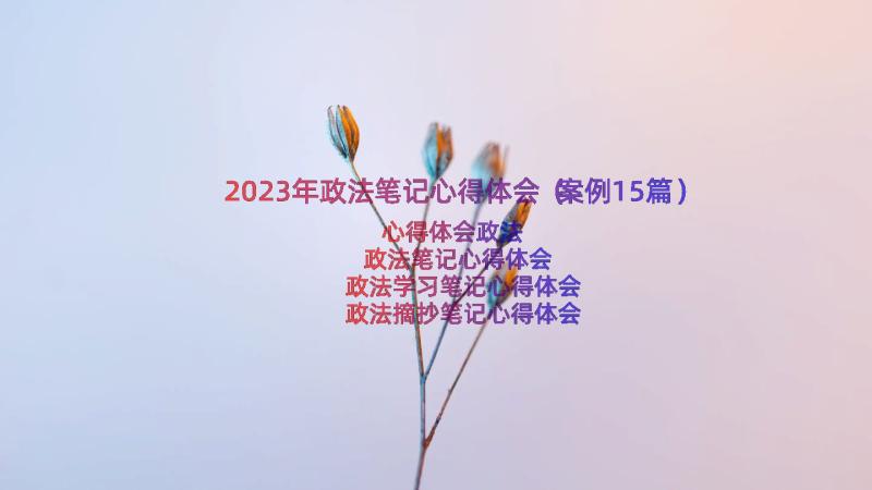 2023年政法笔记心得体会（案例15篇）