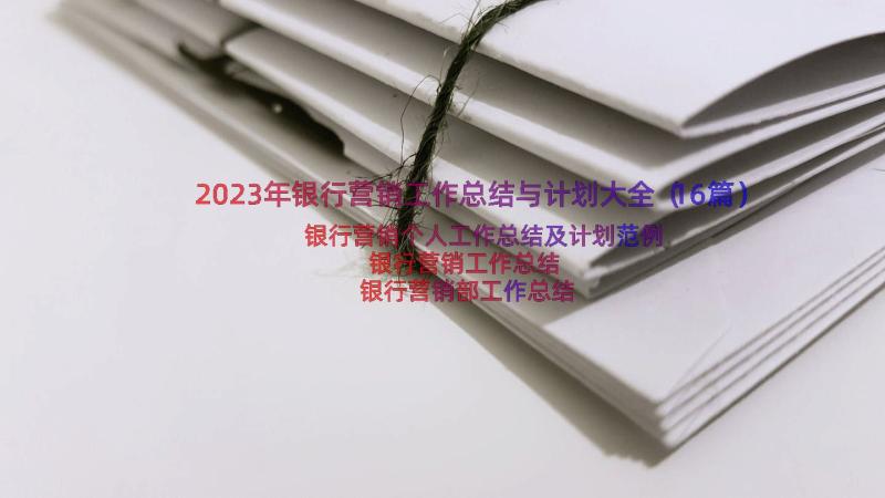 2023年银行营销工作总结与计划大全（16篇）