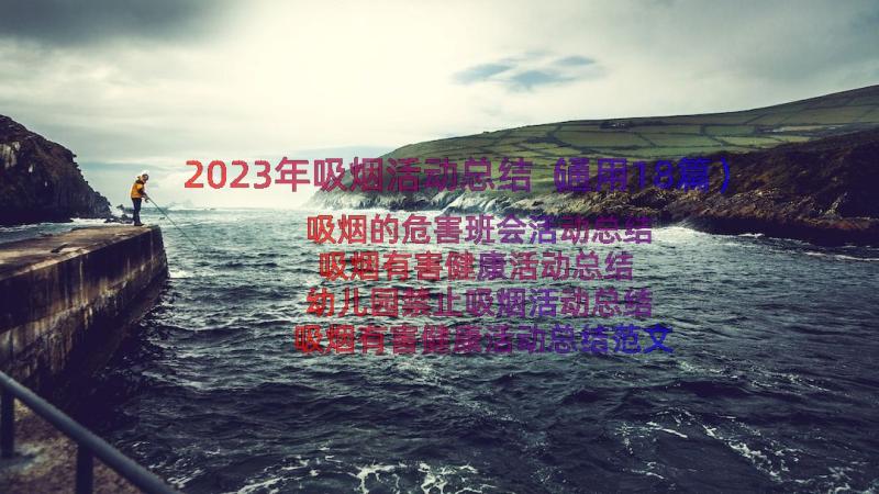 2023年吸烟活动总结（通用18篇）