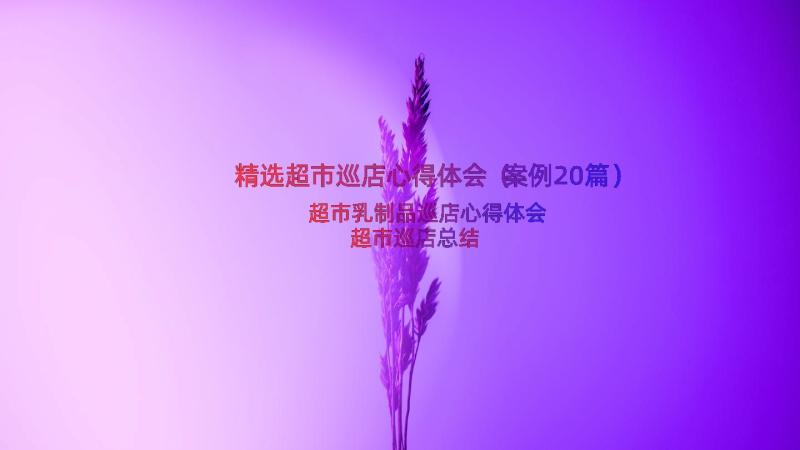 精选超市巡店心得体会（案例20篇）