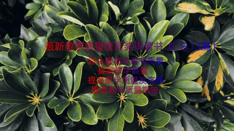 最新教学质量提高奖申请书（汇总13篇）