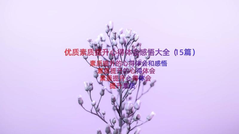 优质素质提升心得体会感悟大全（15篇）