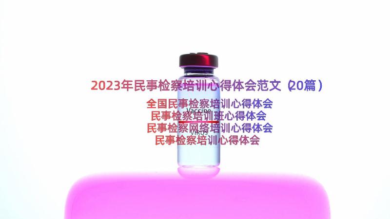 2023年民事检察培训心得体会范文（20篇）