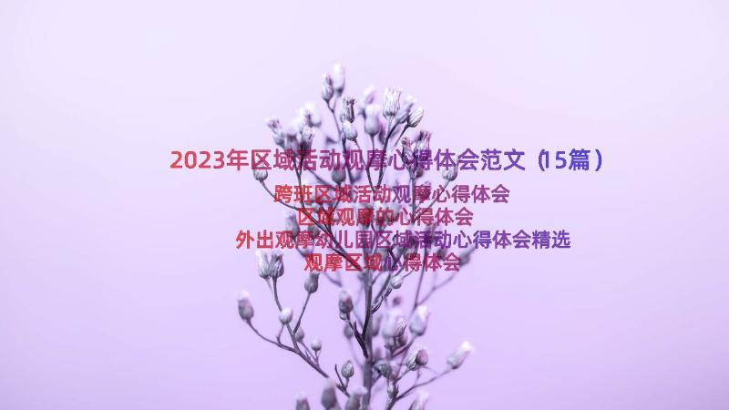 2023年区域活动观摩心得体会范文（15篇）