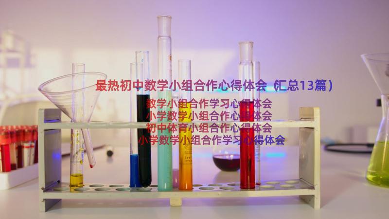 最热初中数学小组合作心得体会（汇总13篇）