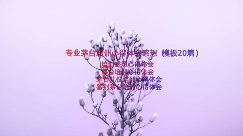 专业茅台培训心得体会感想（模板20篇）