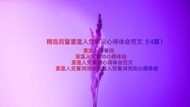 精选民警重温入党誓词心得体会范文（14篇）